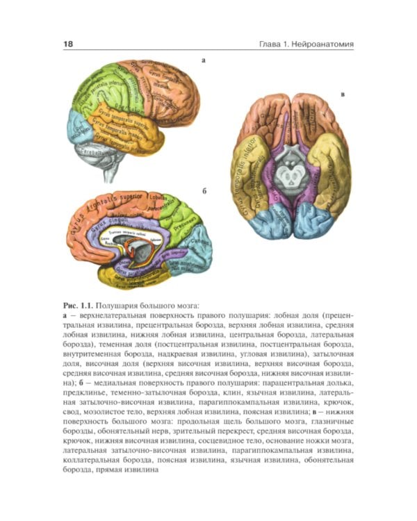 Детская неврология и нейрохирургия: Учебник: В 2-х т (комплект)