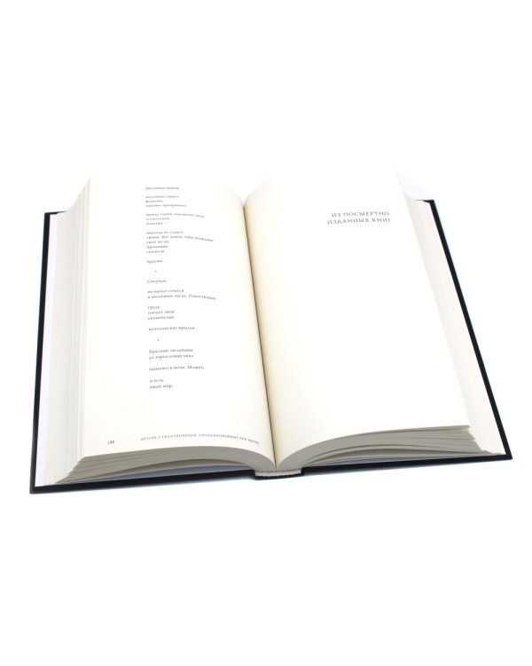 Исчезание равно образованию: Стихотворения и эссе. 2-е изд