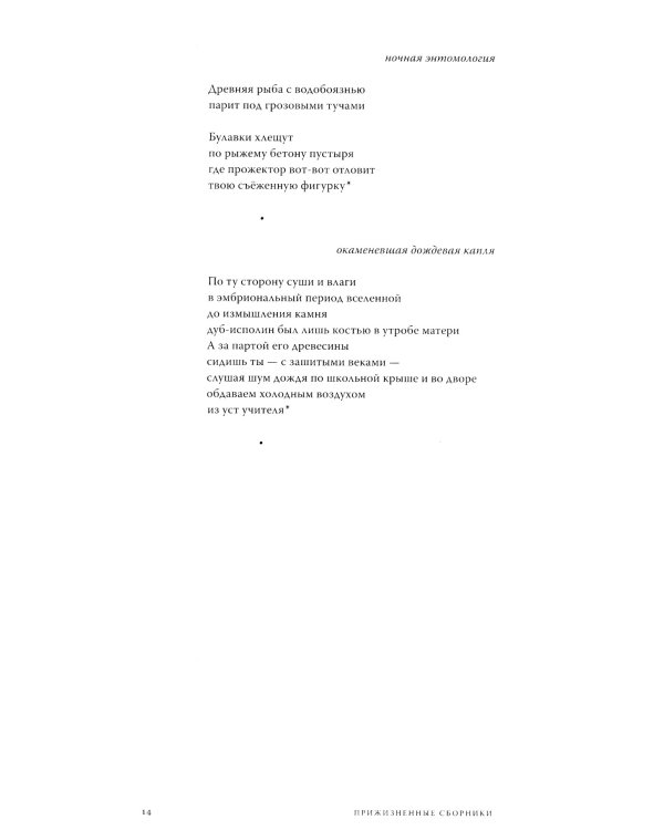 Исчезание равно образованию: Стихотворения и эссе. 2-е изд