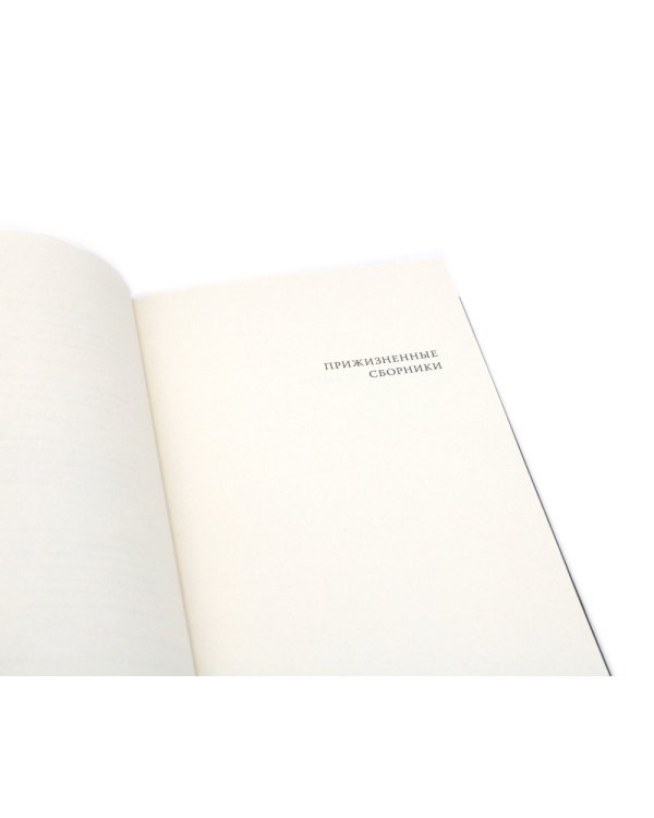 Исчезание равно образованию: Стихотворения и эссе. 2-е изд