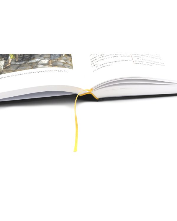 Библия Новый и Ветхий заветы (комплект в 2-х книгах)