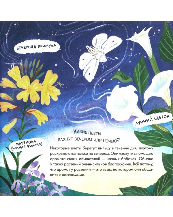 Подсказки в сказке. Где моя звездочка?