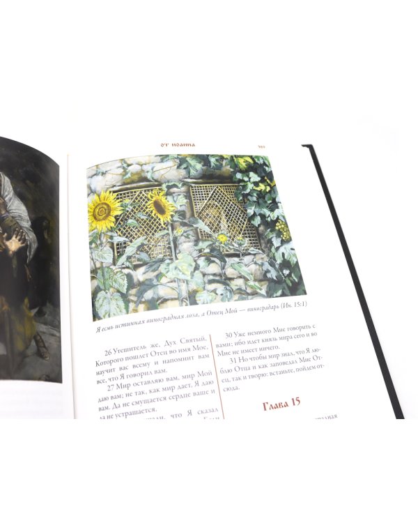 Библия Новый и Ветхий заветы (комплект в 2-х книгах)