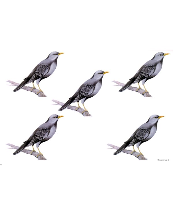 Разрезные картинки для формирования элементарных математических представлений у дошкольников 4-5 лет