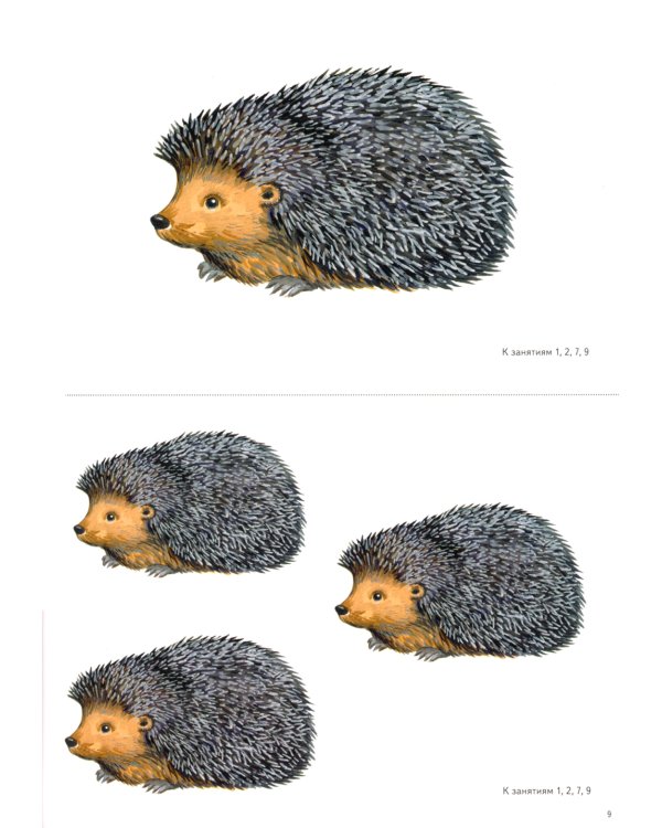 Разрезные картинки для формирования элементарных математических представлений у дошкольников 4-5 лет