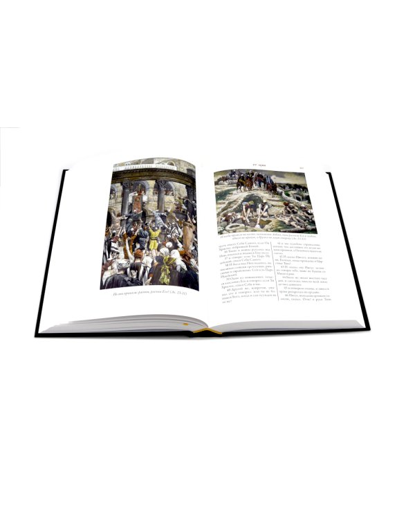 Библия Новый и Ветхий заветы (комплект в 2-х книгах)