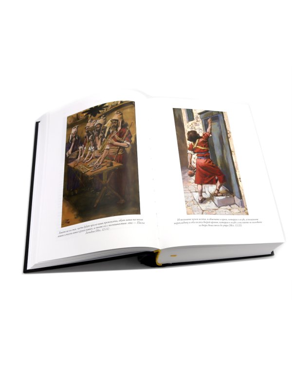 Библия Новый и Ветхий заветы (комплект в 2-х книгах)