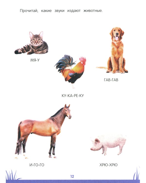 Энциклопедия дошкольника: 5-6 лет. 2-е изд