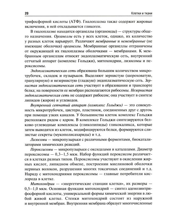 Анатомия человека: Учебник для фармацевтических факультетов