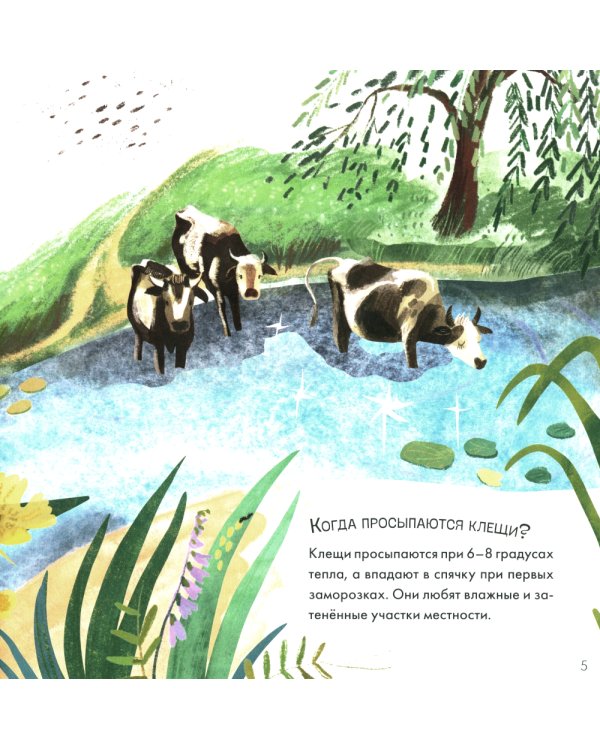 Подсказки в сказке. Чем знаменит Кусь?