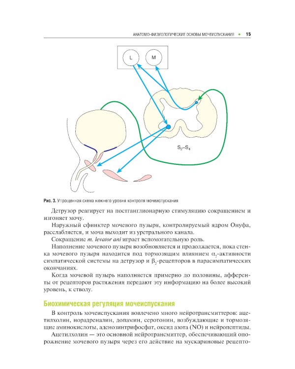 Нейрохирургия и урология
