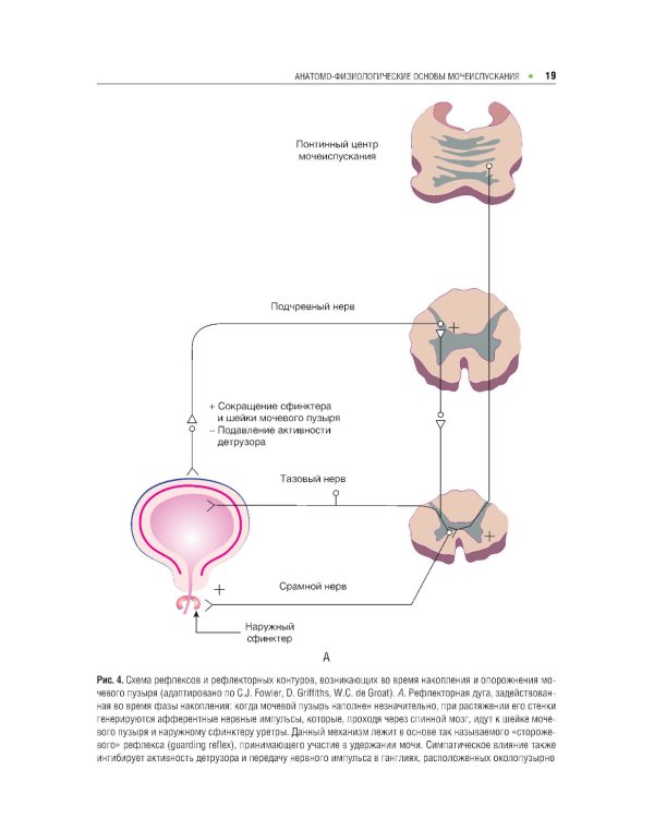 Нейрохирургия и урология