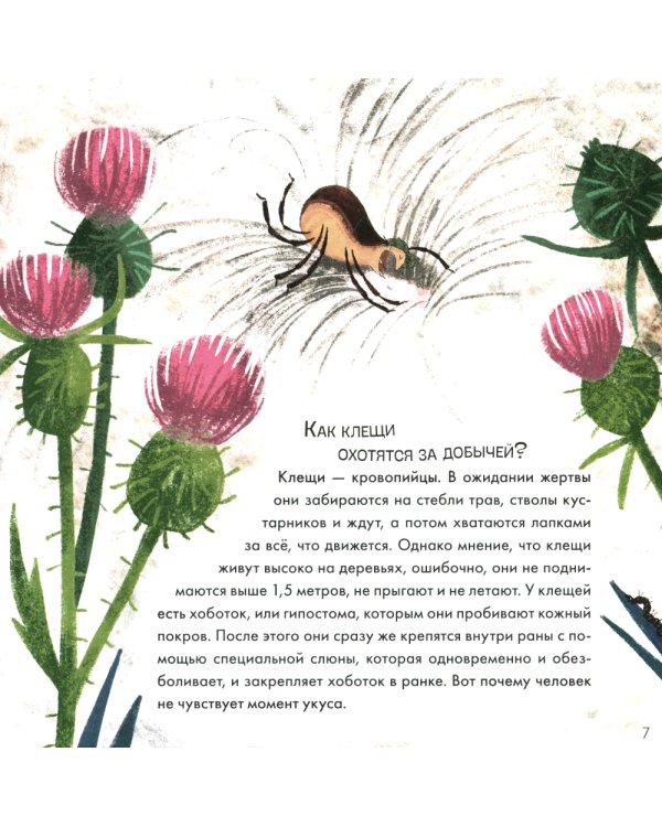 Подсказки в сказке. Чем знаменит Кусь?