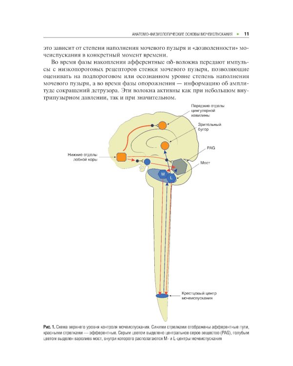 Нейрохирургия и урология
