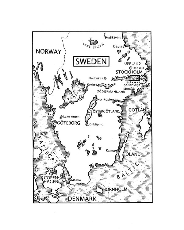 The Girl Who Takes an Eye for an Eye