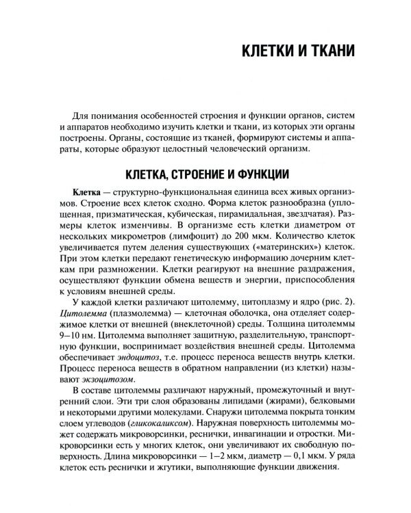 Анатомия человека: Учебник для фармацевтических факультетов