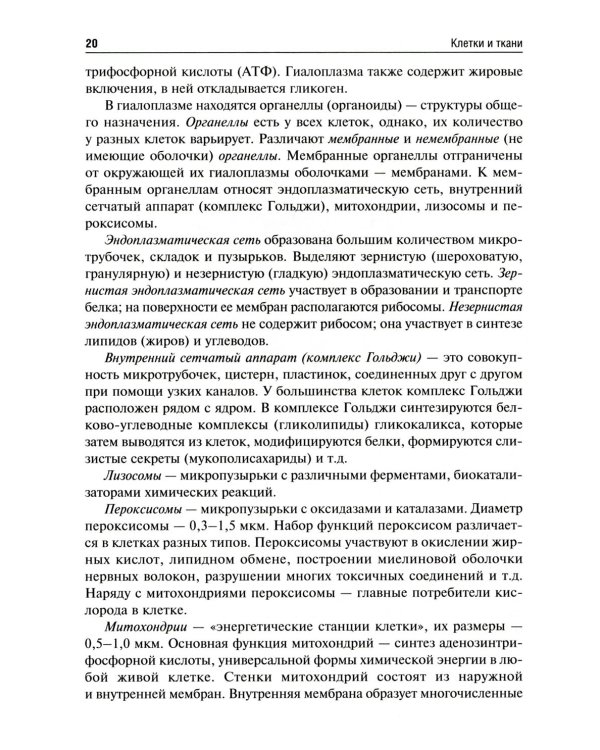 Анатомия человека: Учебник для фармацевтических факультетов
