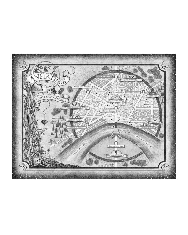 Город Полумесяца. Дом Пламени и Тени: роман