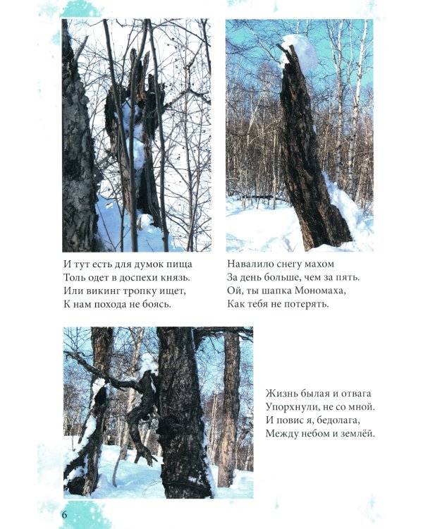 Причуды Камчатского леса