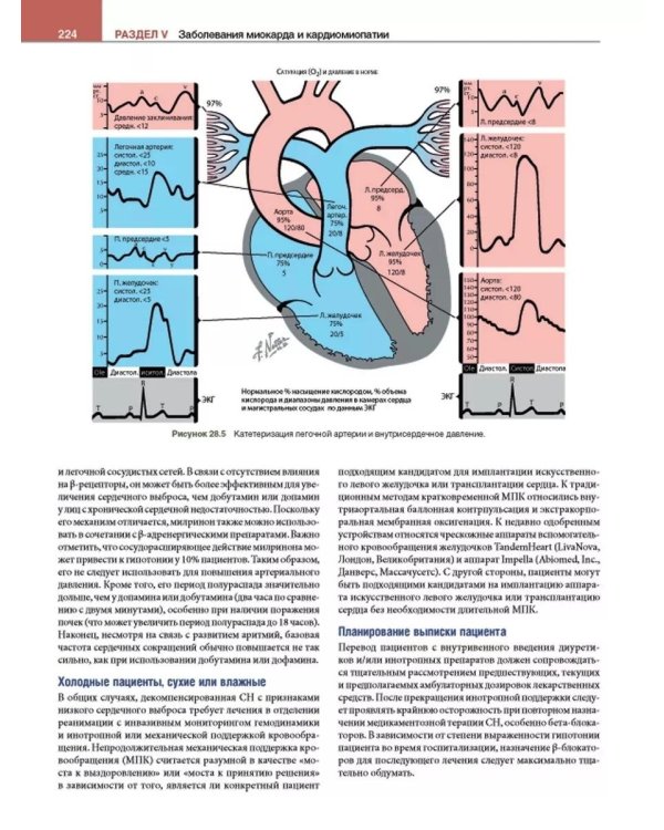 Кардиология с иллюстрациями Неттера. В 2 ч. (комплект из 2 кн.)