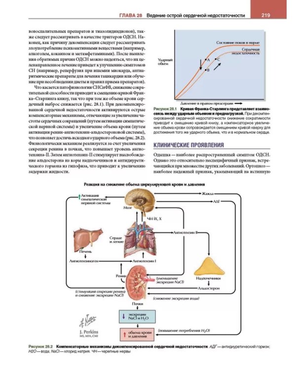 Кардиология с иллюстрациями Неттера. В 2 ч. (комплект из 2 кн.)
