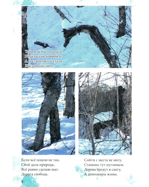 Причуды Камчатского леса