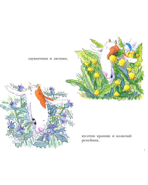 Больной зуб козлика Хрумки: книжка-картинка