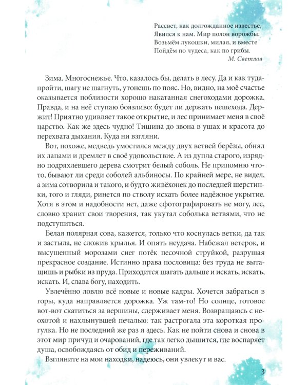 Причуды Камчатского леса