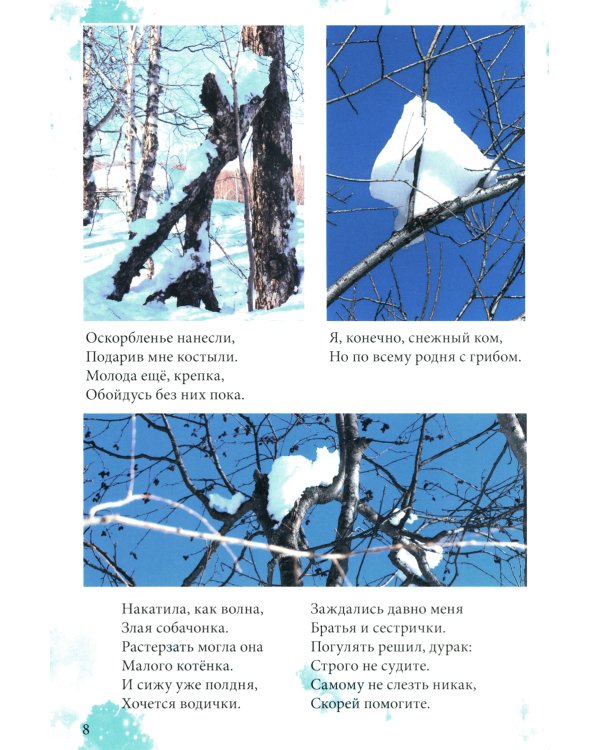 Причуды Камчатского леса