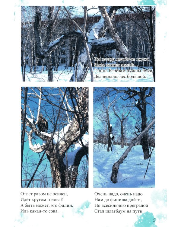 Причуды Камчатского леса