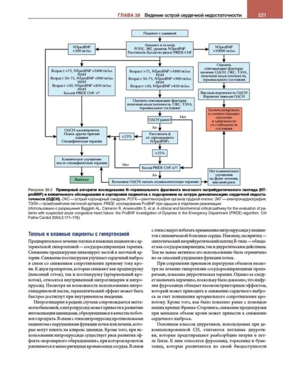 Кардиология с иллюстрациями Неттера. В 2 ч. (комплект из 2 кн.)