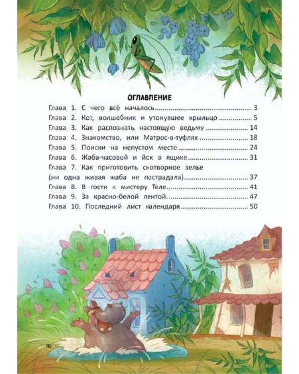 Ведьма, кот и дело в шляпе