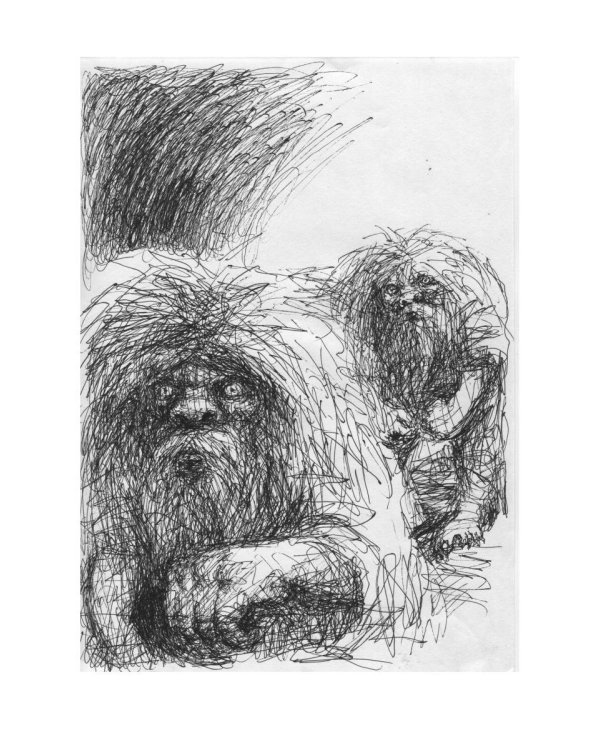 Вулкан Москва. Тайна московского метро