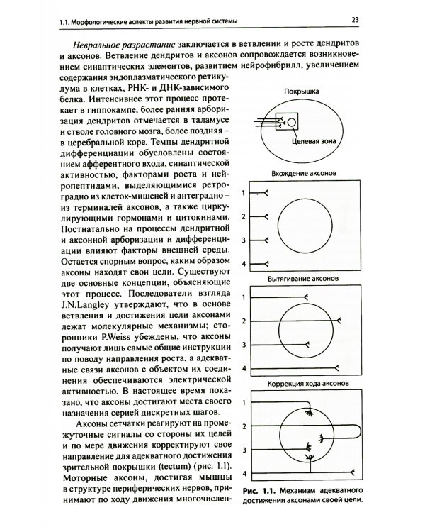 Энцефалопатии новорожденных детей