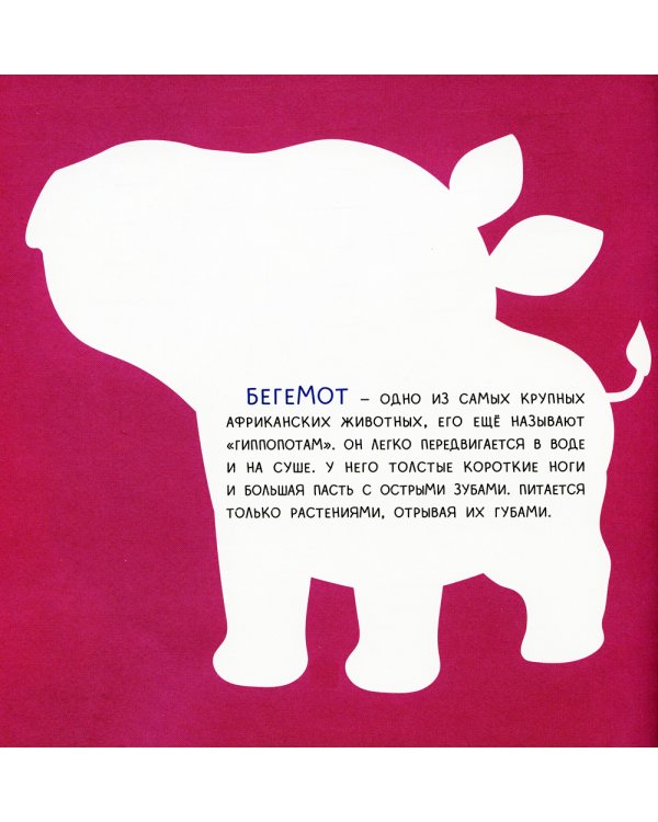 Джунгли: объемные аппликации