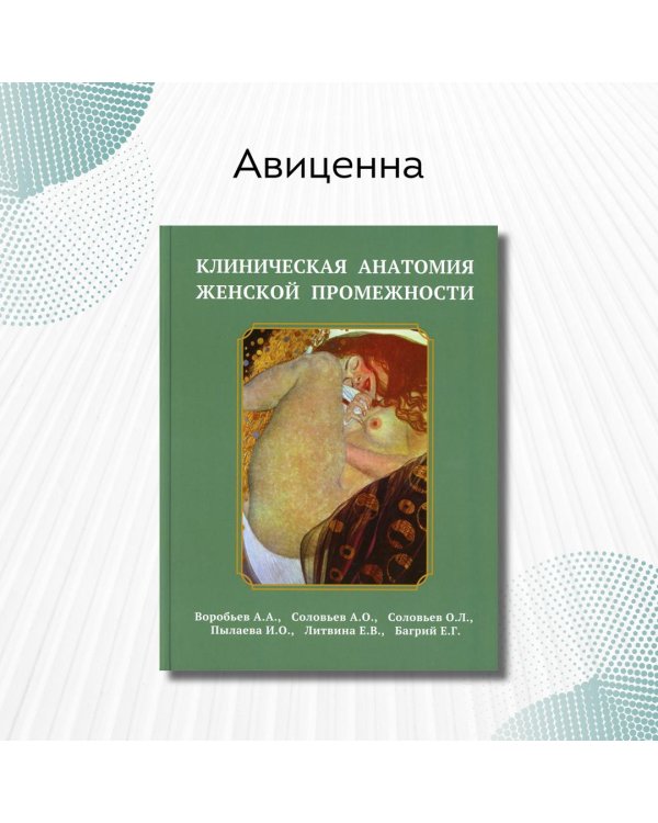 Клиническая анатомия женской промежности