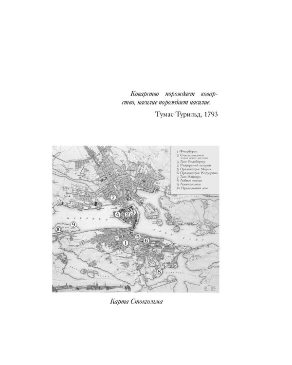 1793. История одного убийства: роман