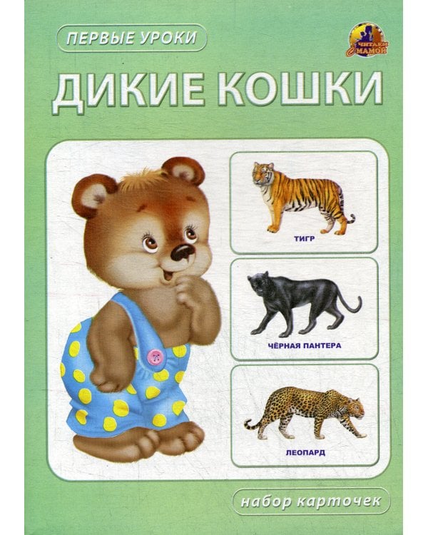 Дикие кошки. Набор карточек