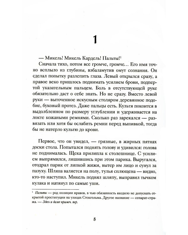 1793. История одного убийства: роман