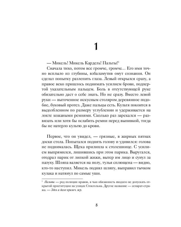 1793. История одного убийства: роман