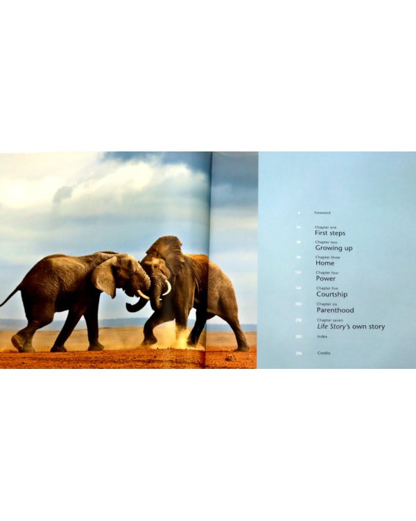 Life Story: Many Lives, One Epic Journey