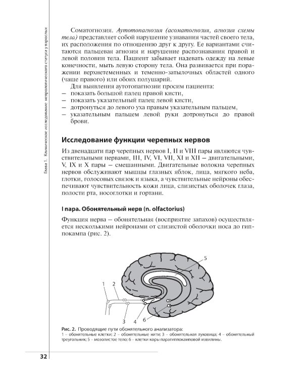 Неврологический статус и его интерпретация: Учебное руководство для врачей. 7-е изд