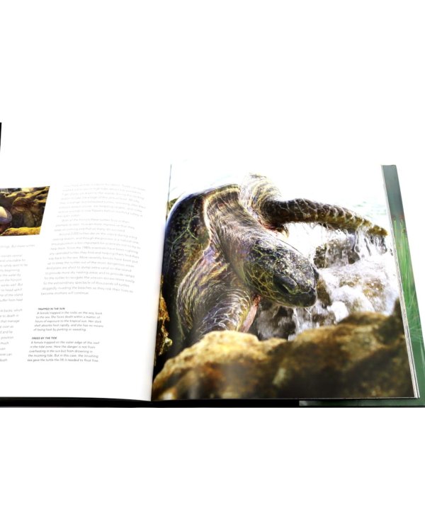 Life Story: Many Lives, One Epic Journey