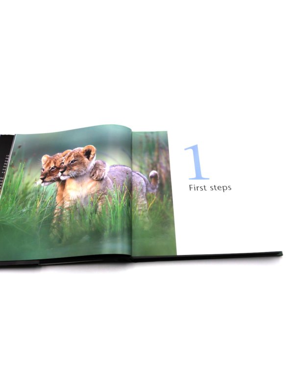 Life Story: Many Lives, One Epic Journey