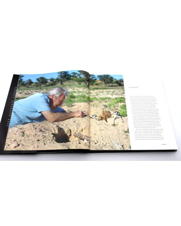 Life Story: Many Lives, One Epic Journey