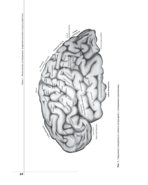 Неврологический статус и его интерпретация: Учебное руководство для врачей. 7-е изд