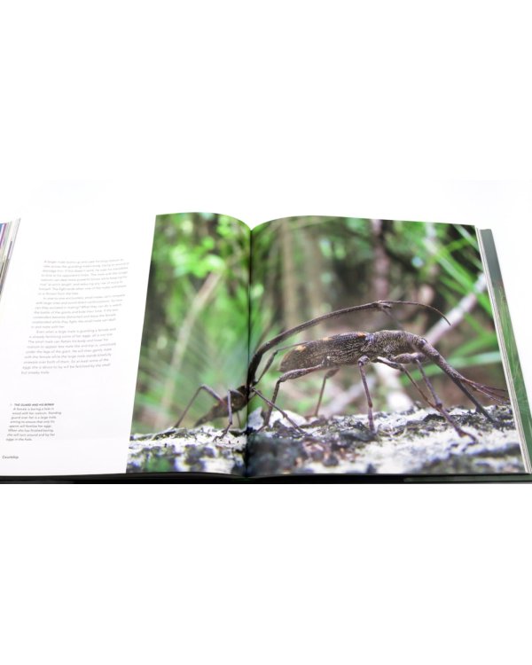 Life Story: Many Lives, One Epic Journey