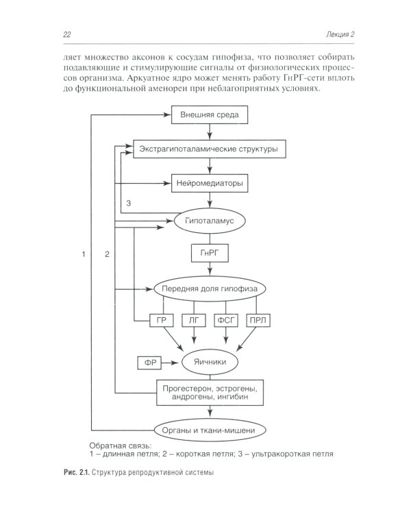 Гинекологическая эндокринология. Клинические лекции. 5-е изд