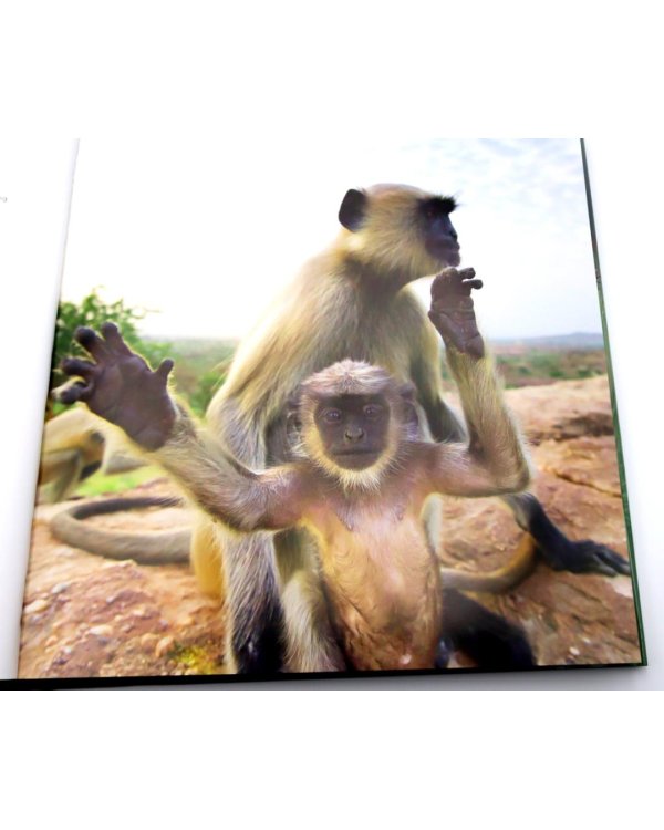 Life Story: Many Lives, One Epic Journey