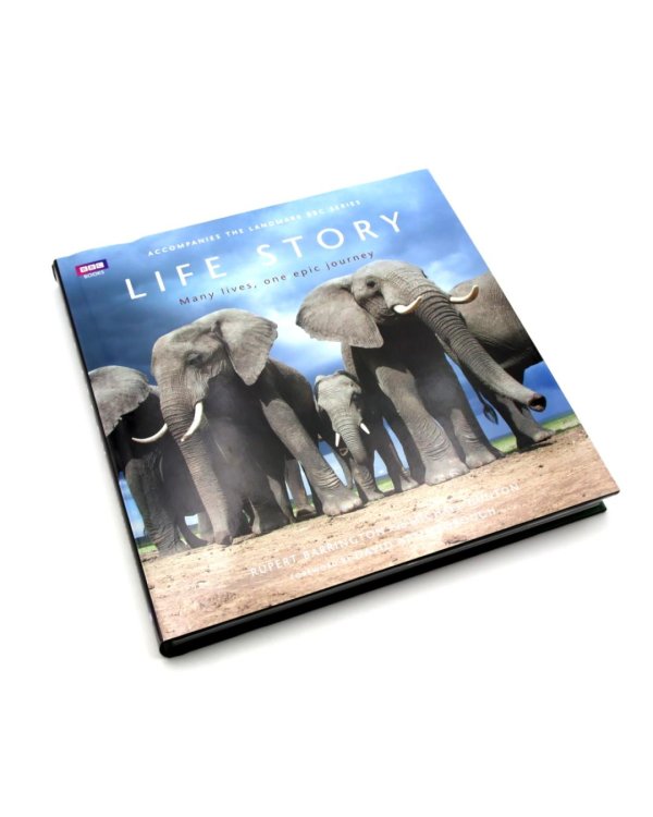 Life Story: Many Lives, One Epic Journey